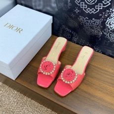 Christian Dior Slippers